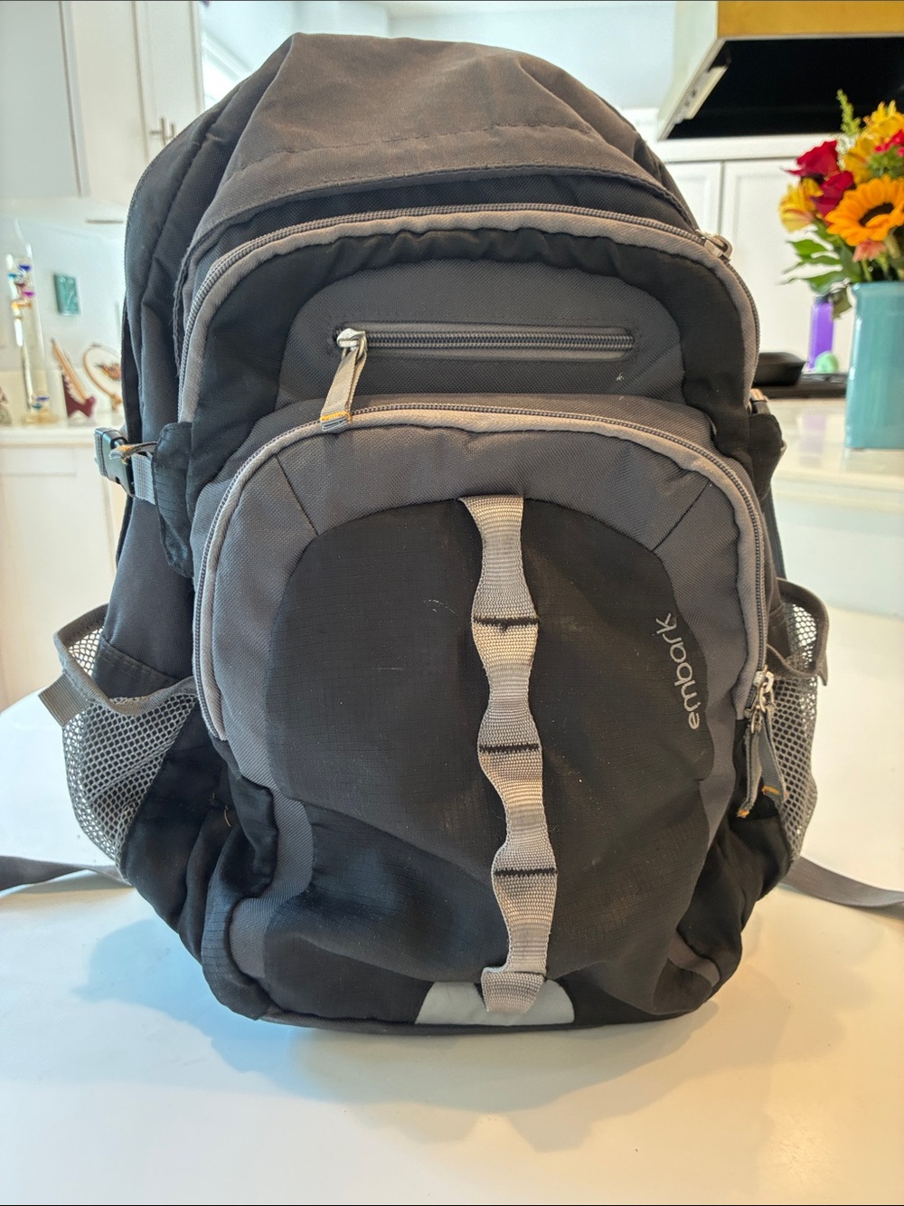 Embrock Black and Gray Men's Everyday Backpack
